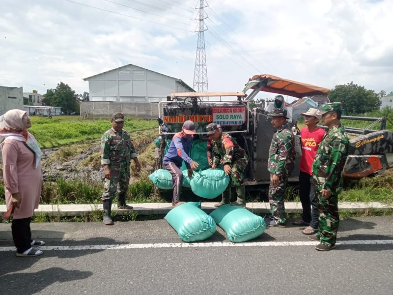 Sukseskan Ketahanan Pangan, Anggota Koramil Banjarsari Bantu Petani Panen Padi